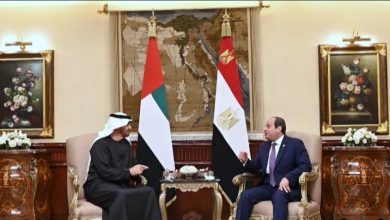 السيسي وبن زايد يبحثان التطورات في غزة... ويرحّبان بمبادرة ترامب