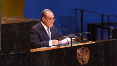 وزير خارجية مصر: لن نكون بوابة لتهجير الشعب الفلسطيني