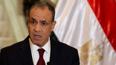 وزير الخارجية المصري: حريصون على إنجاح خطة ترامب بشأن غزة