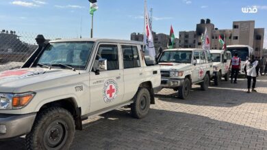 "فلسطيني كان يعمل مع إسرائيل".. هيئة البث تكشف هوية جثة سلمتها حماس