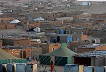 زيارة وفد ديني من حزب الله لمخيمات البوليساريو