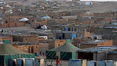 زيارة وفد ديني من حزب الله لمخيمات البوليساريو