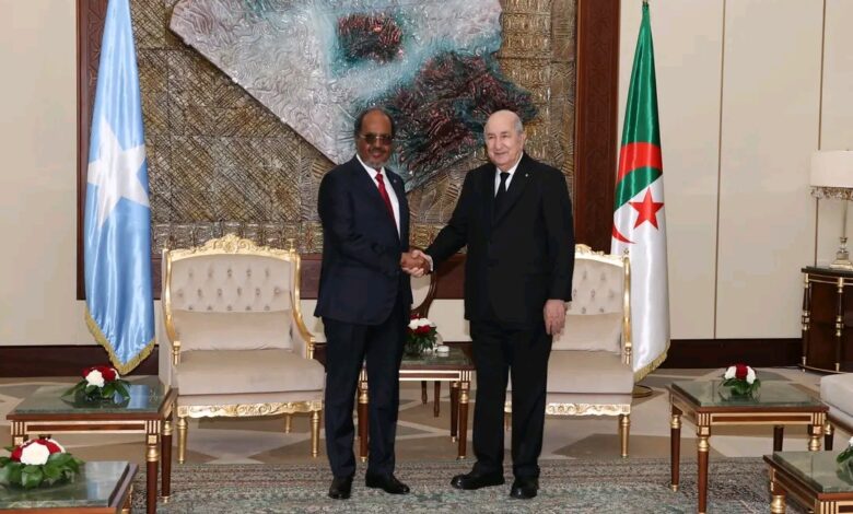 الجزائر والصومال توقعان اتفاقيات تعاون في مجالات متعددة