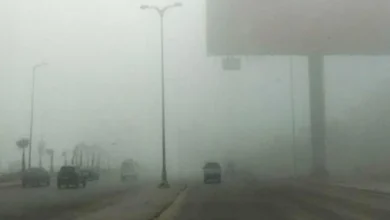 مصر: الإسكندرية تغلق الطريق الصحراوي بسبب شبورة كثيفة وتُشدد المرور على الطريق الزراعي