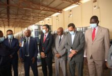 المغرب يقدّم 100 ألف لتر من المبيدات لموريتانيا لمكافحة الجراد الصحراوي