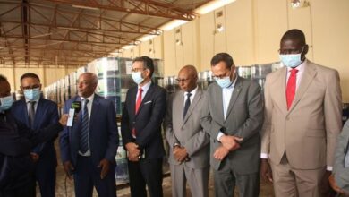 المغرب يقدّم 100 ألف لتر من المبيدات لموريتانيا لمكافحة الجراد الصحراوي