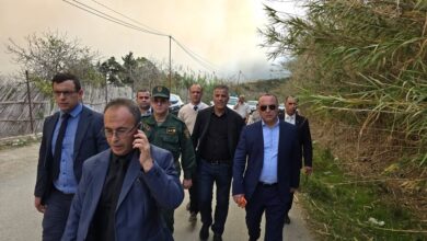 الجزائر توقف 4 مشتبه في تورطهم في حرائق غابات تيبازة 5 الجزائر توقف 4 مشتبه في تورطهم في حرائق غابات تيبازة