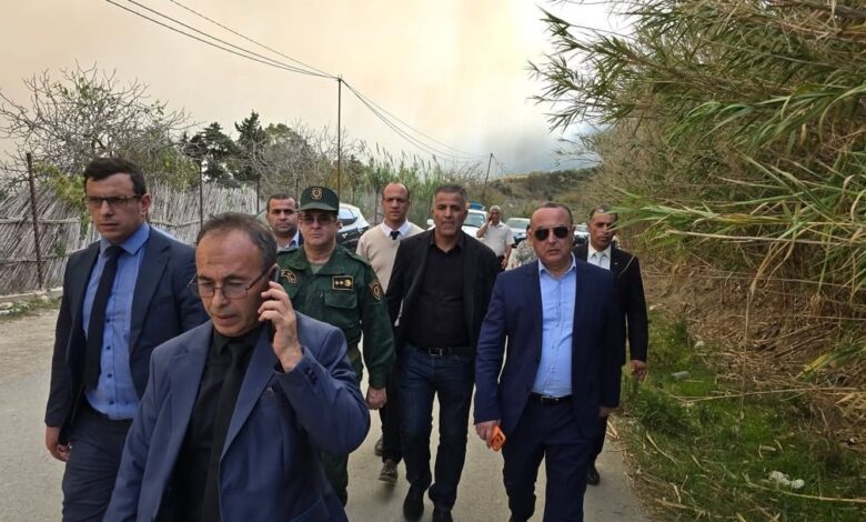 الجزائر توقف 4 مشتبه في تورطهم في حرائق غابات تيبازة 1 الجزائر توقف 4 مشتبه في تورطهم في حرائق غابات تيبازة