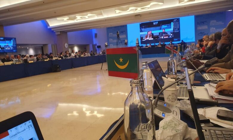 موريتانيا تحصل على حصة أولية من أسماك التونة الحمراء في اجتماع ICCAT بإشبيلية 1 موريتانيا تحصل على حصة أولية من أسماك التونة الحمراء في اجتماع ICCAT بإشبيلية