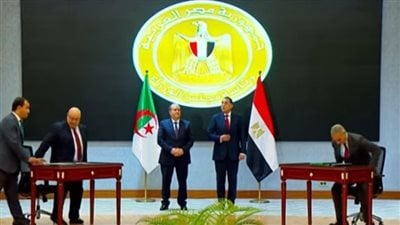 مصر والجزائر تؤكدان دعم فلسطين ووقف إطلاق النار في غزة وتعزيز التعاون الثنائي