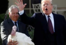 الرئيس ترامب يعفو عن الديك الرومي غوبل بمناسبة عيد الشكر