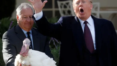 الرئيس ترامب يعفو عن الديك الرومي غوبل بمناسبة عيد الشكر