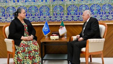 الجزائر تجدد رفضها لأي تدخل أجنبي في ليبيا وتدعو لتسريع التسوية السياسية