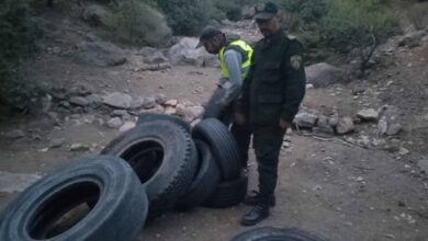 الجزائر :العثور على إطارات سيارات في غابة سيدي رغيس يثير شبهة الحرائق المفتعلة