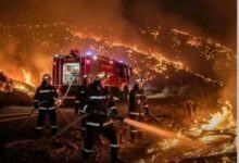 محلل جزائري يصف حرائق الجزائر بأنها "مدبرة لضرب معنويات الشعب "