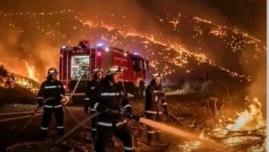 محلل جزائري يصف حرائق الجزائر بأنها "مدبرة لضرب معنويات الشعب " 2 محلل جزائري يصف حرائق الجزائر بأنها "مدبرة لضرب معنويات الشعب "