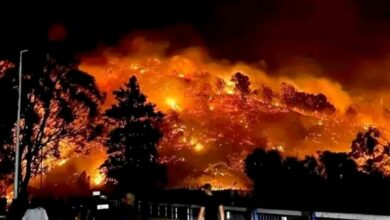 الجزائر:تشكيل لجنة تقنية لتقييم أضرار حرائق غابات ولاية تيبازة