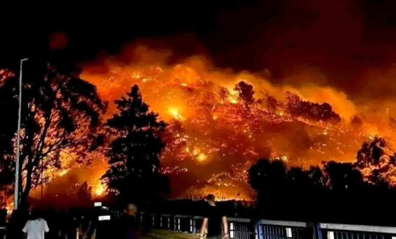 الجزائر:تشكيل لجنة تقنية لتقييم أضرار حرائق غابات ولاية تيبازة 1 الجزائر:تشكيل لجنة تقنية لتقييم أضرار حرائق غابات ولاية تيبازة