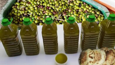 الاتحاد المغربي لحماية المستهلك ينفي منع زيت الزيتون المغربي بعد ضبط شحنة مزورة في بلجيكا