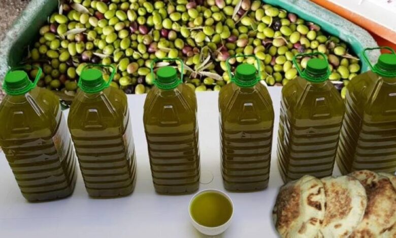 الاتحاد المغربي لحماية المستهلك ينفي منع زيت الزيتون المغربي بعد ضبط شحنة مزورة في بلجيكا