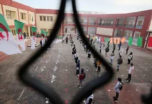 الجزائر.. لجنة متعددة القطاعات لتنفيذ مرسوم الكشف عن المخدرات في المدارس