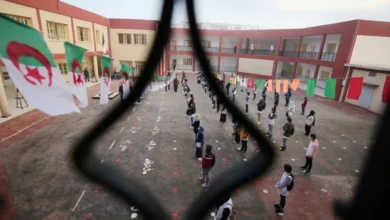 الجزائر.. لجنة متعددة القطاعات لتنفيذ مرسوم الكشف عن المخدرات في المدارس