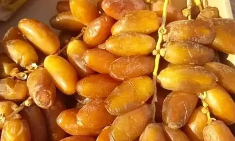 تونس تدخل تمور “دقلة النور” ضمن المواصفة الدولية للتمور الطازجة 1 تونس تدخل تمور “دقلة النور” ضمن المواصفة الدولية للتمور الطازجة