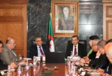 الجزائر تنسّق لتنفيذ استغلال خام غار جبيلات ووضع السكة المنجمية في الخدمة