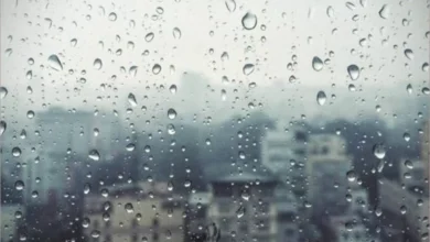 سلطة وادي الأردن تعلن حالة الطوارئ المتوسطة بسبب توقعات جوية غير مستقرة