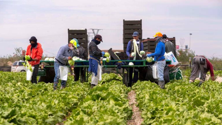 المغاربة يتصدرون العمال الأجانب في إسبانيا