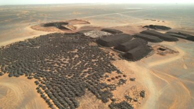 الرئيس الجزائري يعلن انطلاق استغلال خام غار جبيلات في الثلاثي الأول من 2026 7 الرئيس الجزائري يعلن انطلاق استغلال خام غار جبيلات في الثلاثي الأول من 2026