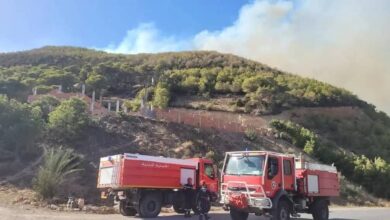 الجزائر: الحرائق تلتهم غابات بعدة بلديات بتيبازة وجهود متواصلة لاخمادها