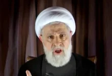 لبنان: قاسم يوضح دور المقاومة في التحرير والدفاع عن الوطن