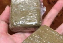 الجمارك التونسية تحبط تهريب 100 كيلوغرام من القنب الهندي عبر ميناء حلق الوادي