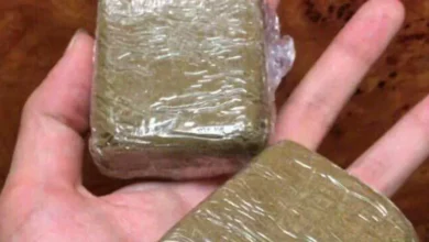 الجمارك التونسية تحبط تهريب 100 كيلوغرام من القنب الهندي عبر ميناء حلق الوادي 2 الجمارك التونسية تحبط تهريب 100 كيلوغرام من القنب الهندي عبر ميناء حلق الوادي