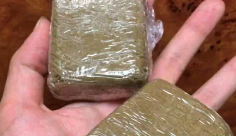 الجمارك التونسية تحبط تهريب 100 كيلوغرام من القنب الهندي عبر ميناء حلق الوادي