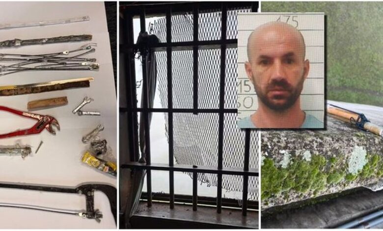 بطريقة هوليودية.. سجين ينجح في الهرب من السجن للمرة الرابعة في إيطاليا..