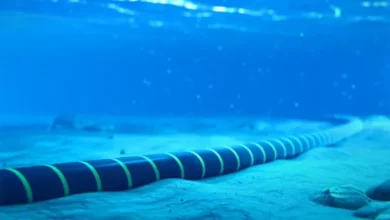 الجزائر تعتزم إطلاق كابل بحري جديد لتعزيز سرعة الإنترنت