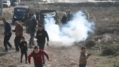 إصابات فلسطينية في بيتا وتصاعد اعتداءات المستوطنين بالضفة الغربية