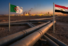 الجزائر ومصر تتصدران شبكات أنابيب الغاز في أفريقيا