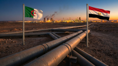 الجزائر ومصر تتصدران شبكات أنابيب الغاز في أفريقيا 7 الجزائر ومصر تتصدران شبكات أنابيب الغاز في أفريقيا