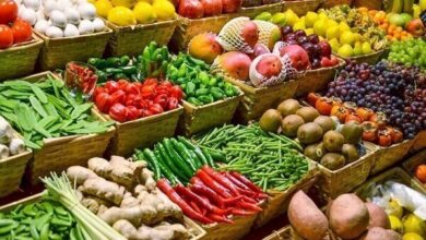 صادرات مصر الزراعية تستقر عند 4.2 مليار دولار خلال 11 شهرًا رغم زيادة الكميات