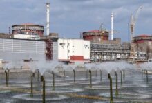 شركات إماراتية وإيرانية تخطط للاستثمار في منطقة زابوروجيه الروسية