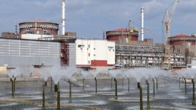 شركات إماراتية وإيرانية تخطط للاستثمار في منطقة زابوروجيه الروسية