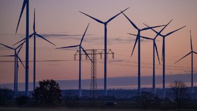 وزير المالية البولندي: استراتيجية الأمن القومي الأمريكي تدفع أوروبا لمراجعة سياساتها المناخية