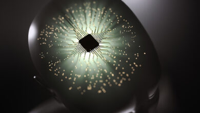 علماء يطورون حواسيب حيوية من خلايا دماغ بشرية