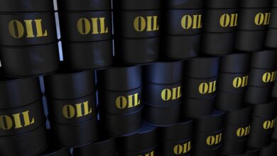 موسكو: الهند ستواصل تعزيز مصالحها الاقتصادية في استيراد النفط الروسي