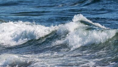 زلزال بقوة 7.2 يضرب شمال اليابان وتحذيرات من تسونامي