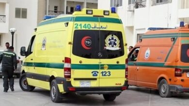 وفاة اشهر سيدة اعمال في مصر 4 وفاة اشهر سيدة اعمال في مصر