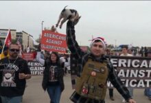 احتجاج مناهض للإسلام في تكساس يشهد وضع نسخة من القرآن في فم خنزير